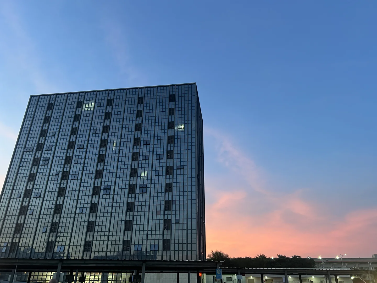 东莞文员（我徒弟）