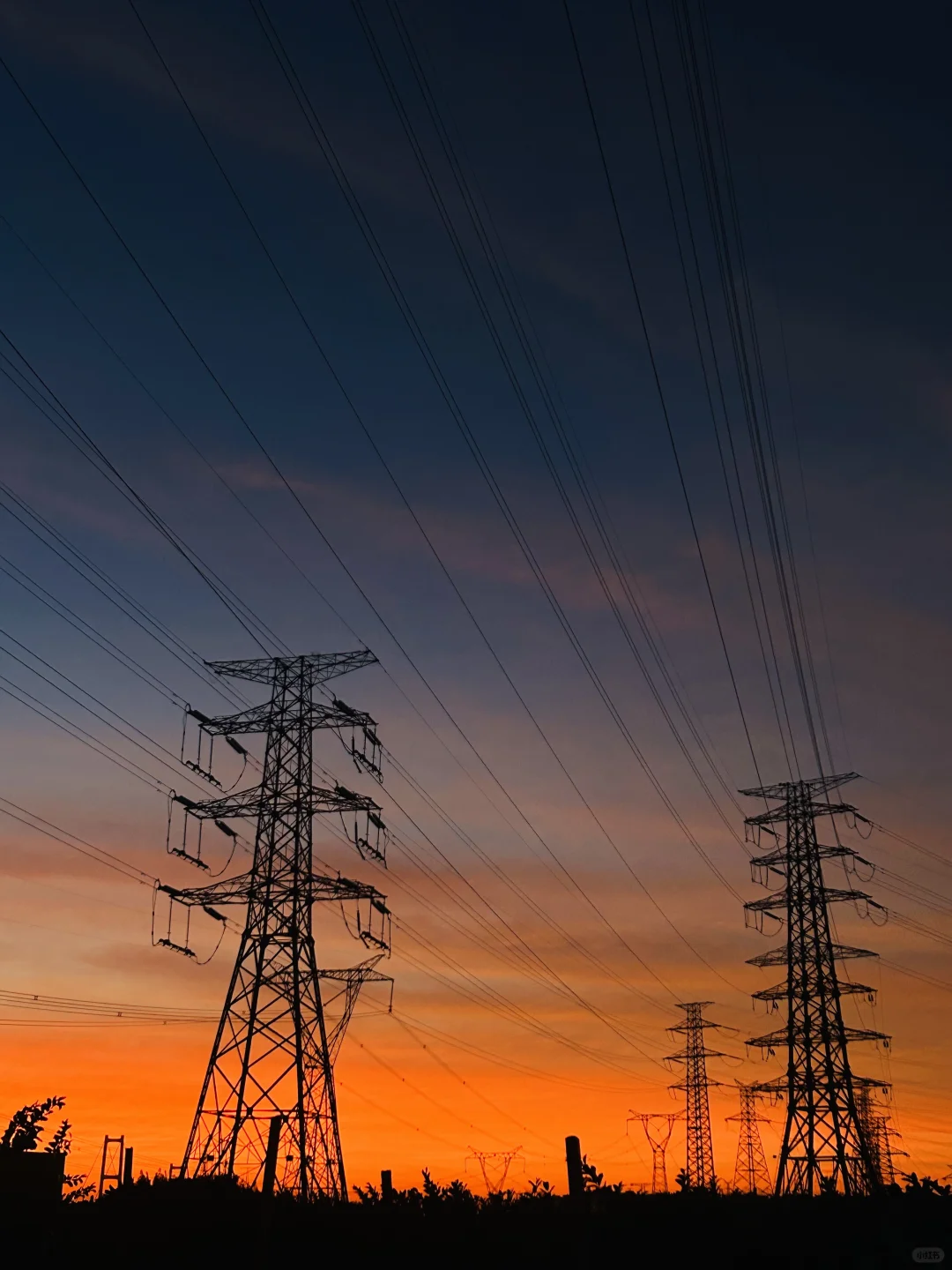 东莞文员（我徒弟）