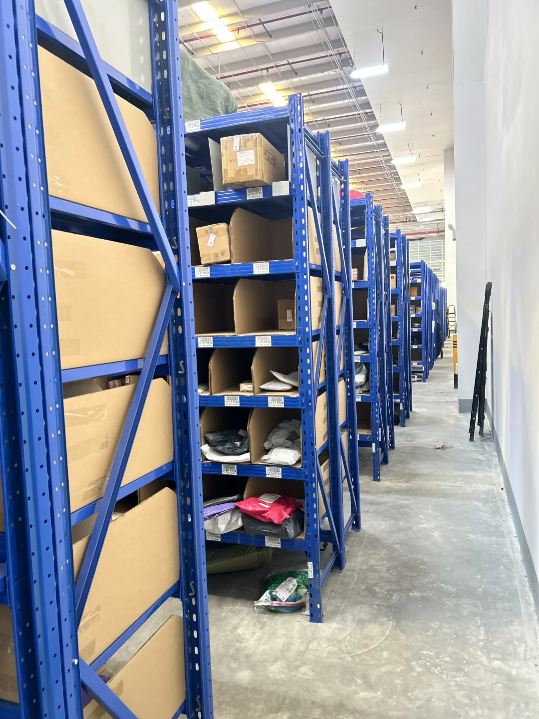 东莞文员（我徒弟）