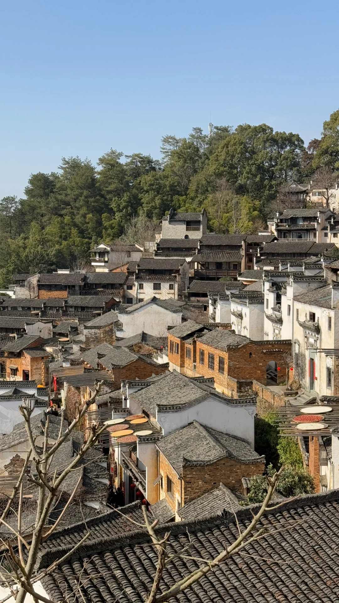 Welcome to Red📕!TikTok Refugees