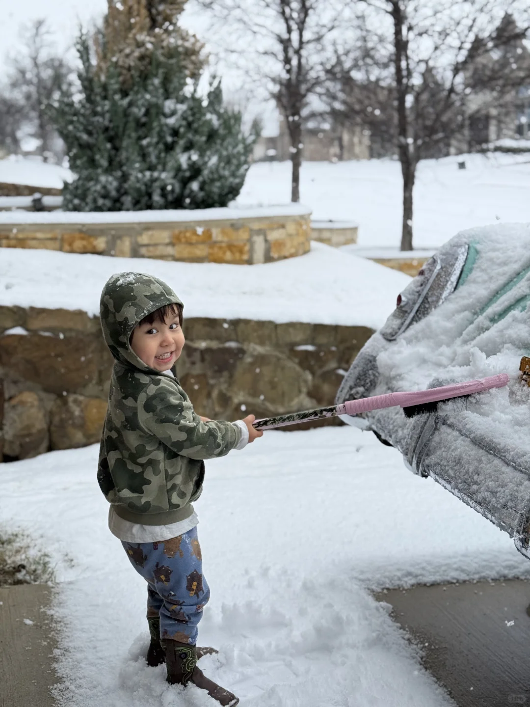 2025达拉斯第一次雪