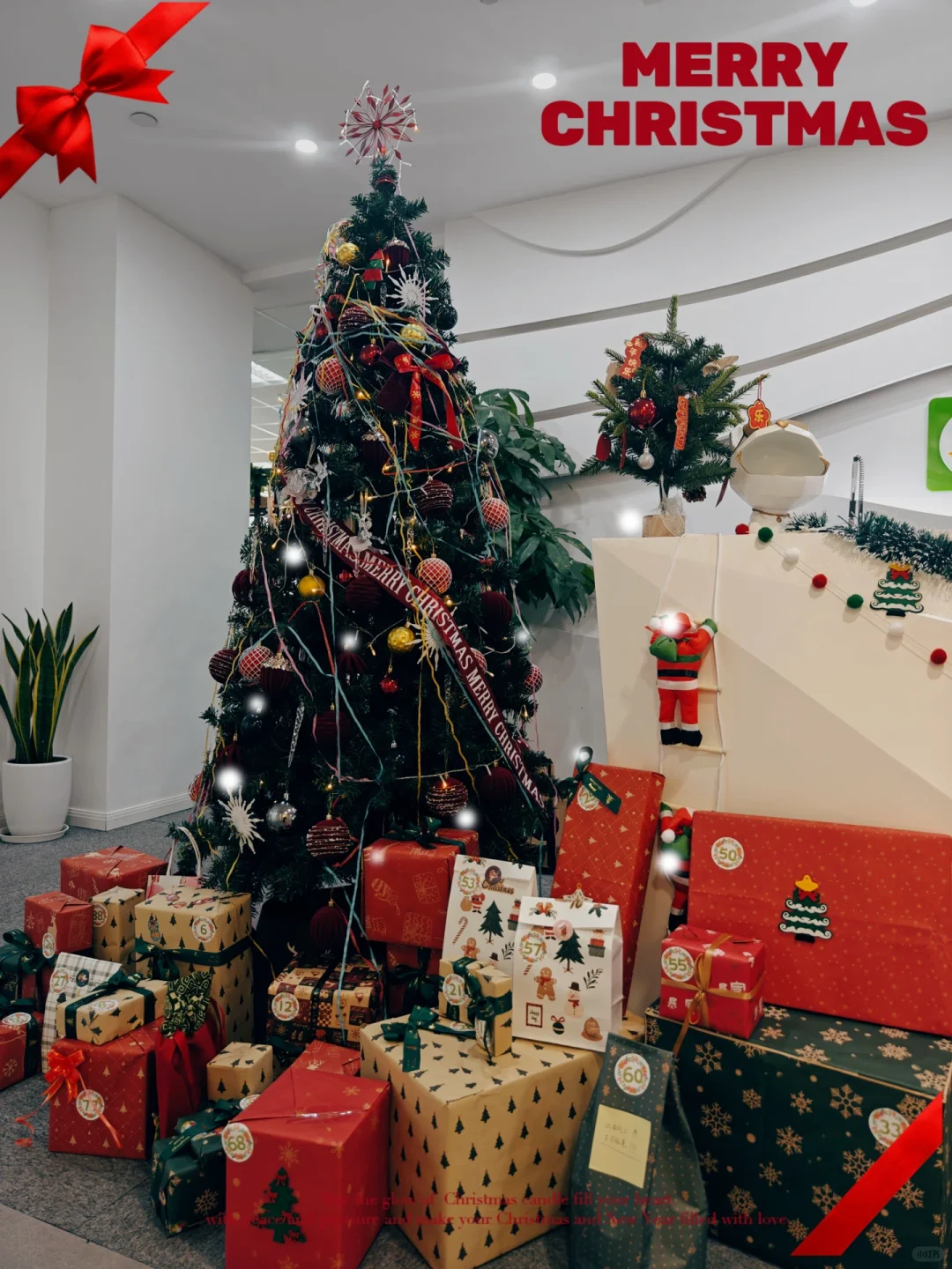 年后招行政啦（还有各地分公司岗位）