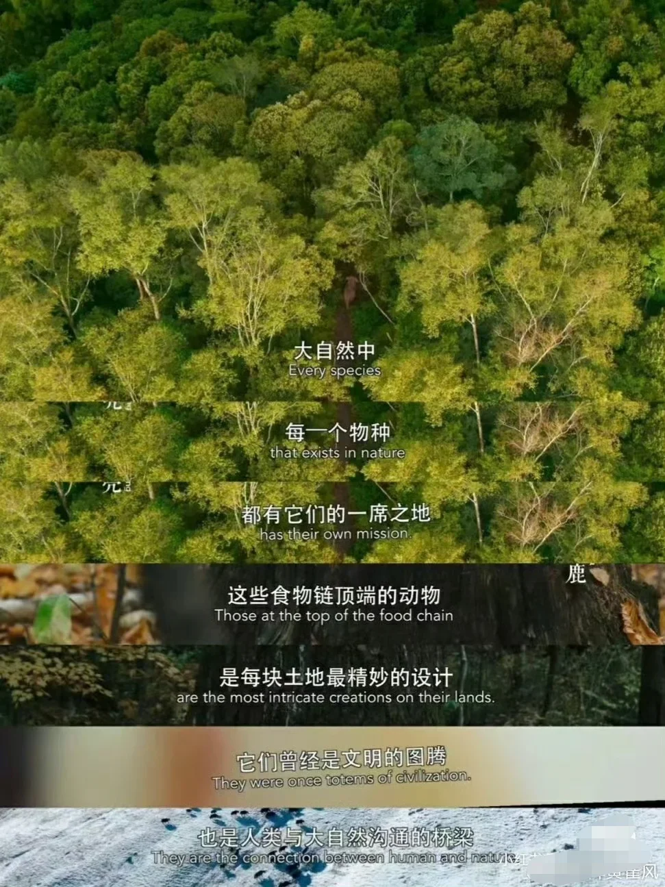 过年🧨我看完这7部纪录片，突然不抑郁了