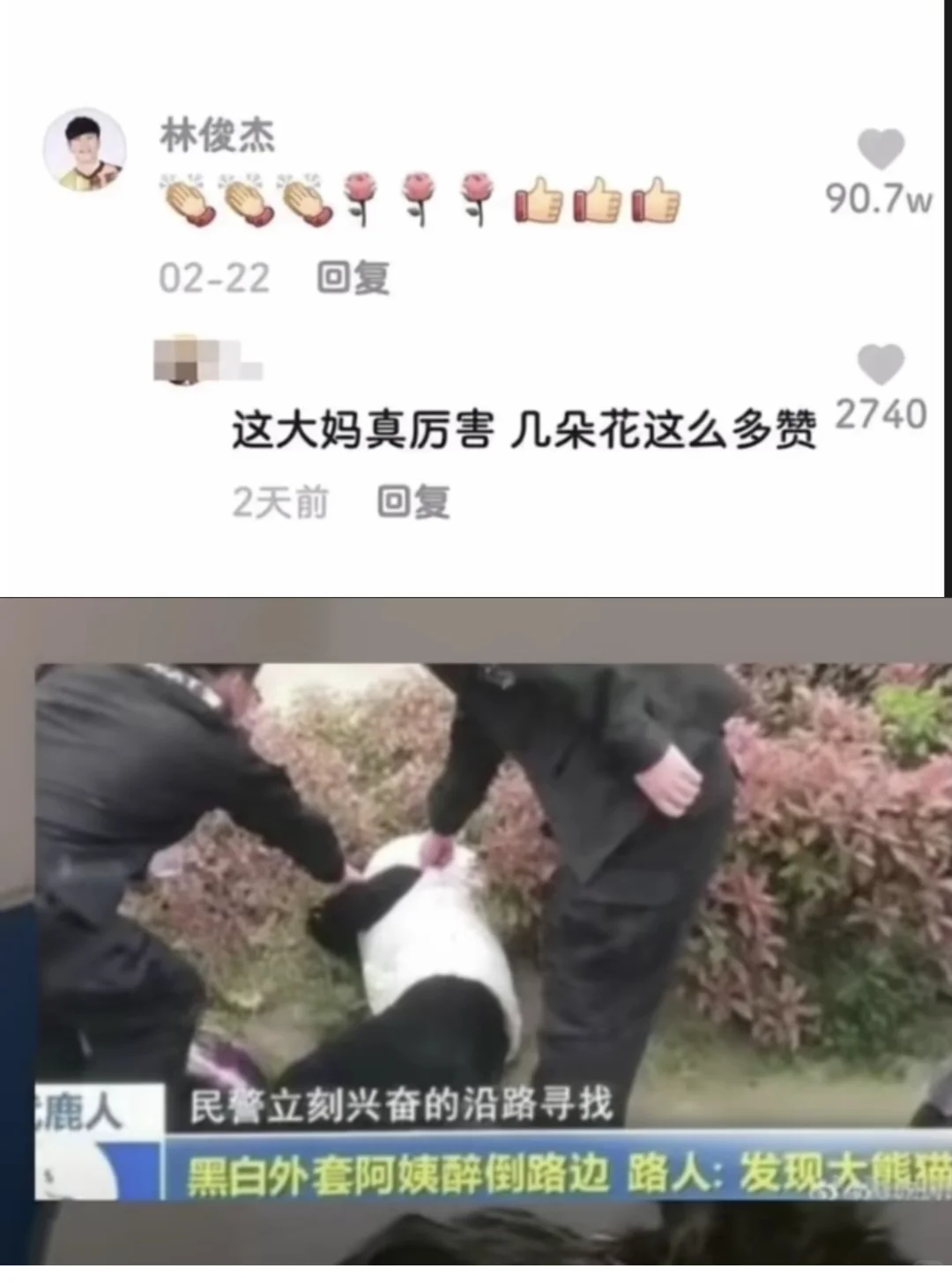 哈哈哈哈哈哈 大家有没有压箱底的笑话