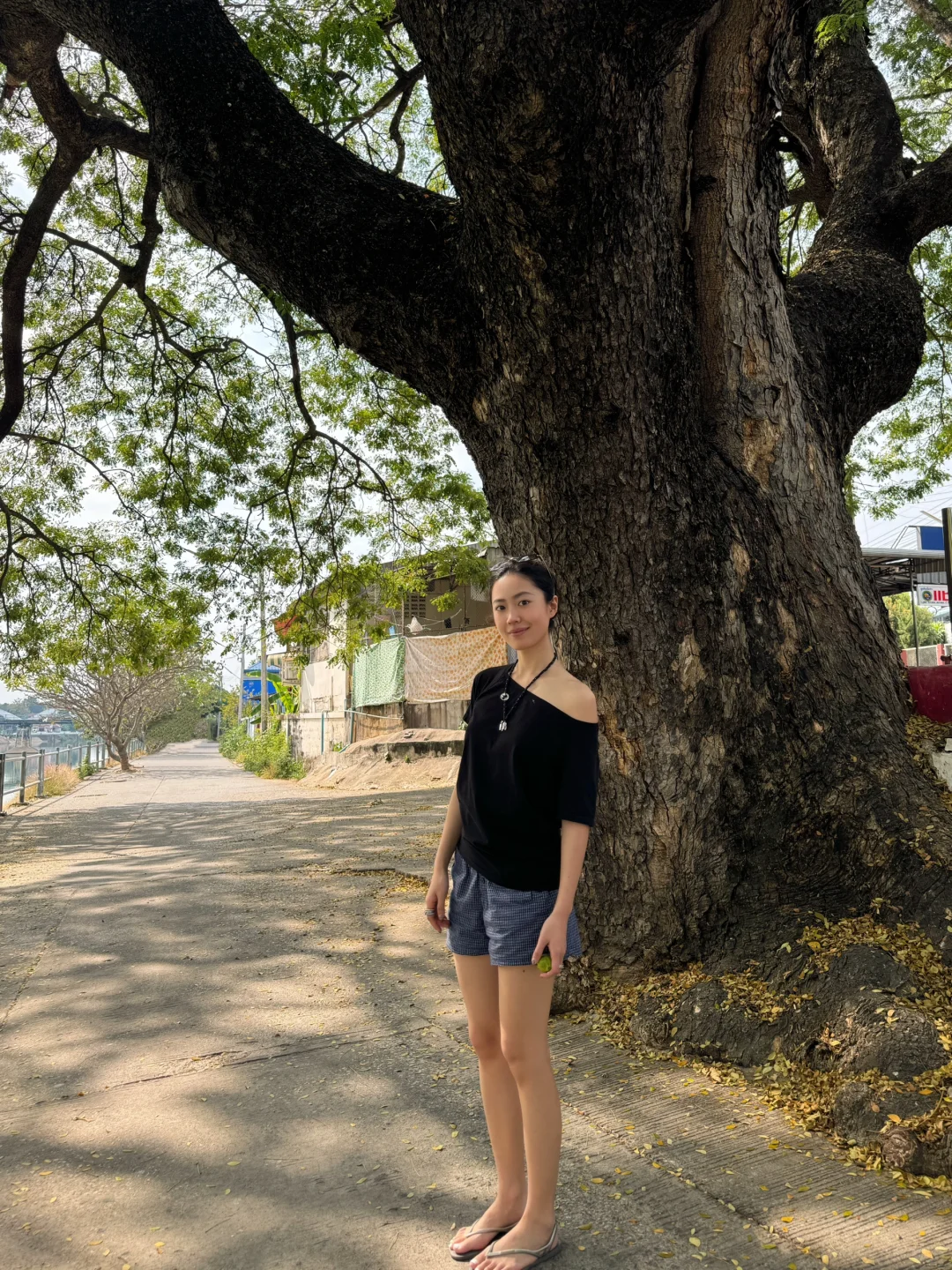 🇹🇭从南邦到清迈