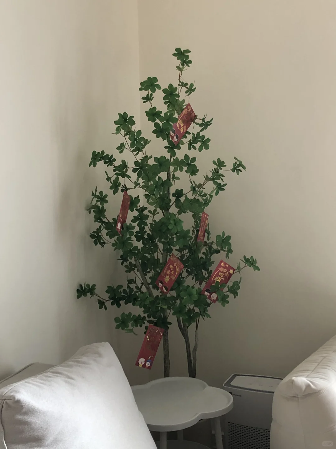 大年初一碎片在这咯🌸