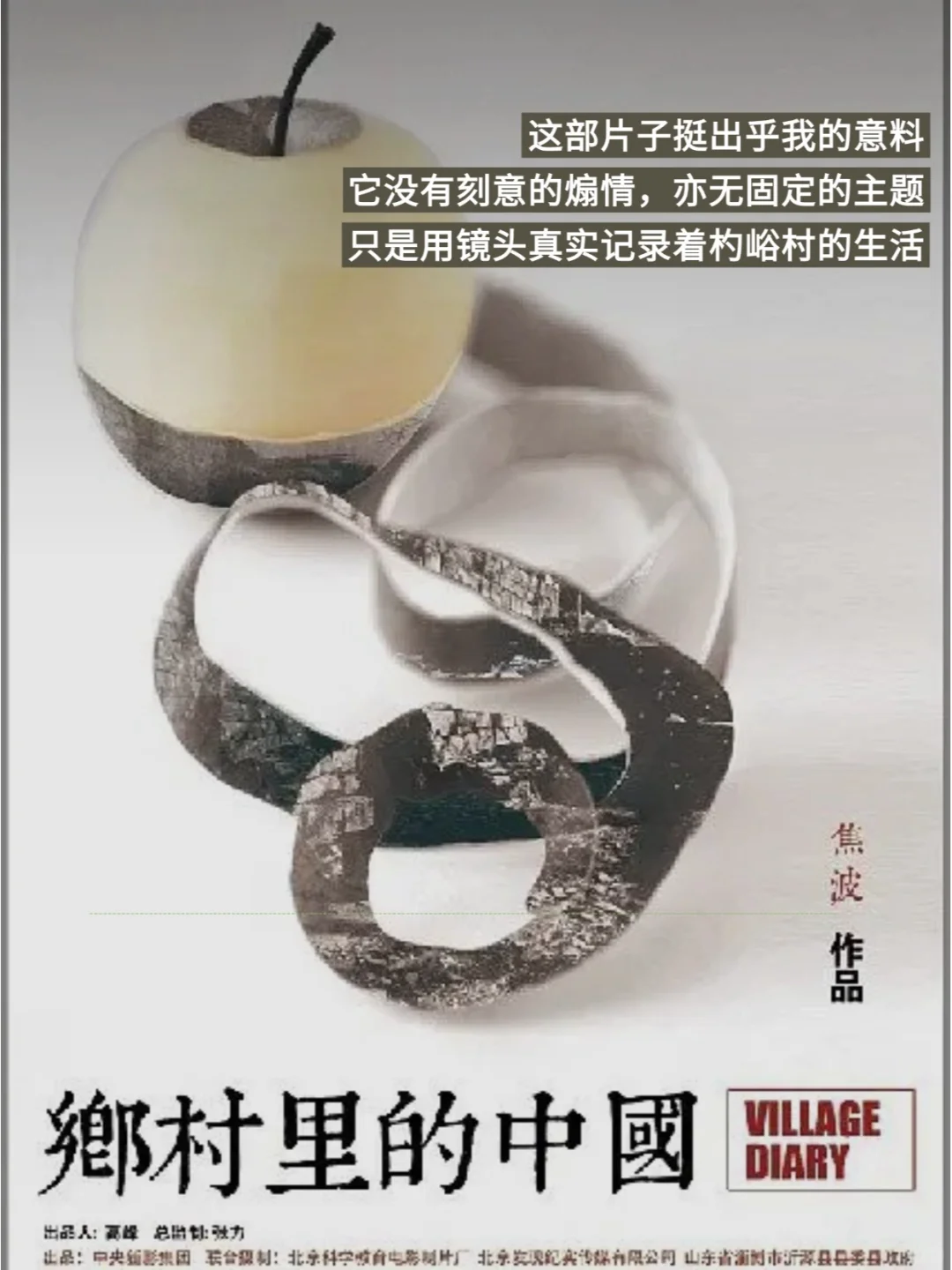 春节宅家追剧10部高分经典纪录片推荐✨