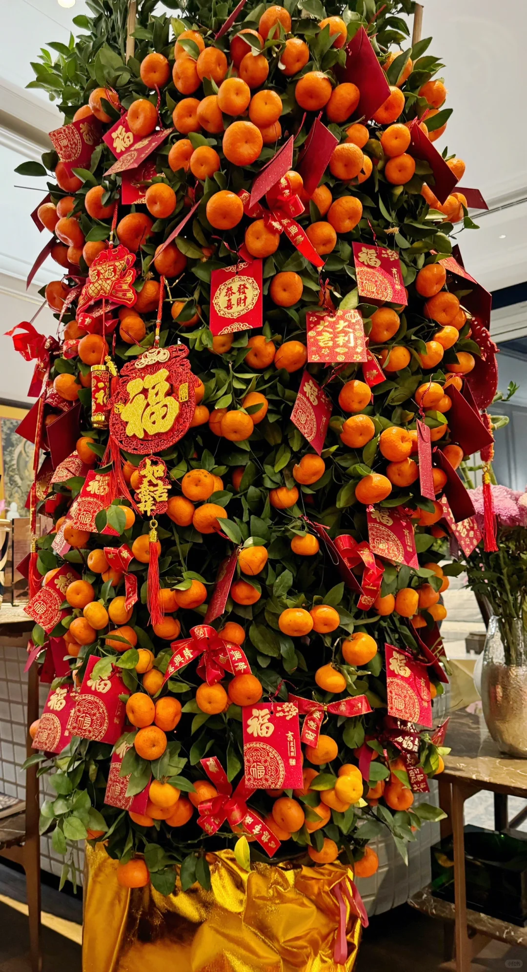 报道报道！拜年了！❤️❤️❤️大家都要大桔大利！顺心顺意！吃菜吃菜，别的啥也不能