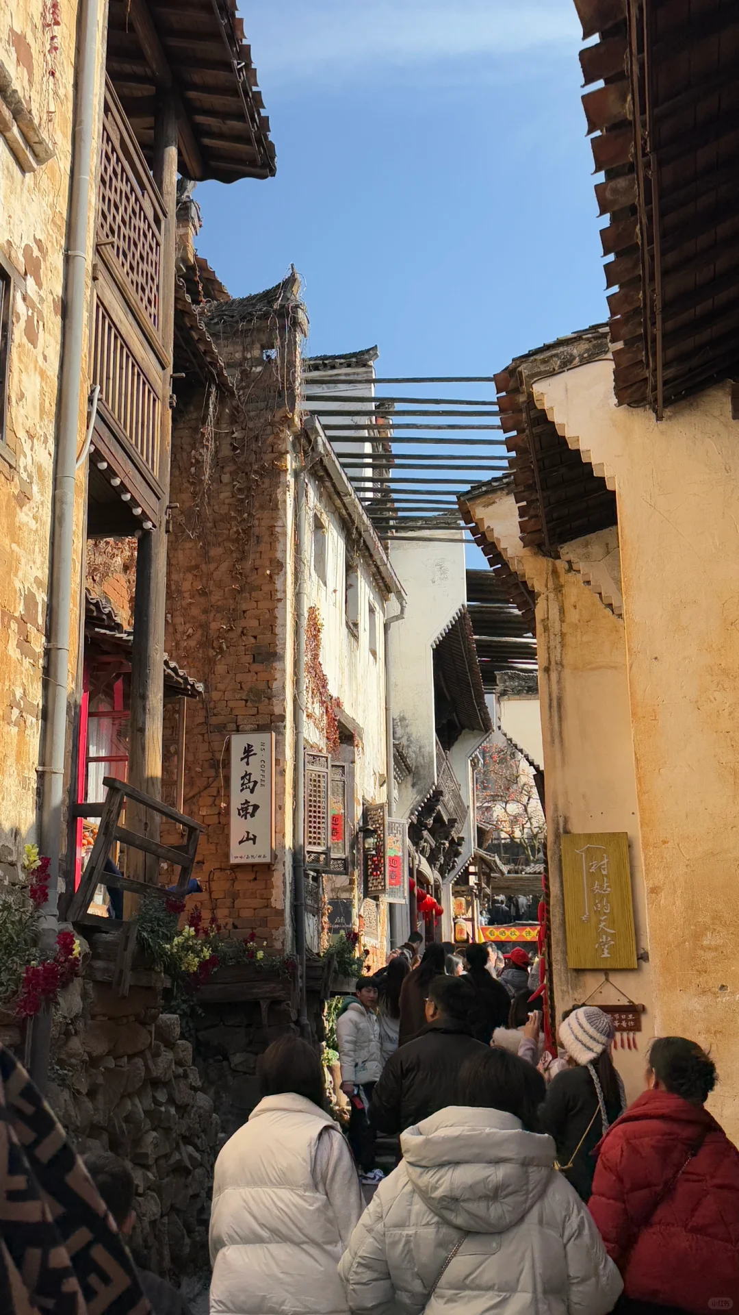 Welcome to Red📕!TikTok Refugees