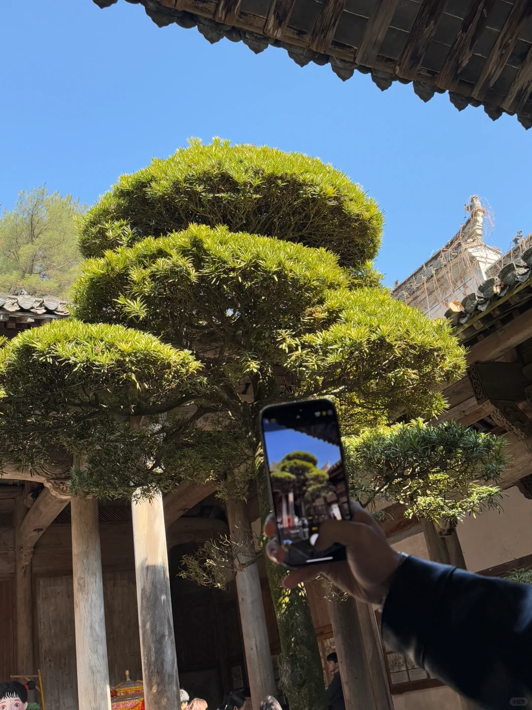 Welcome to Red📕!TikTok Refugees