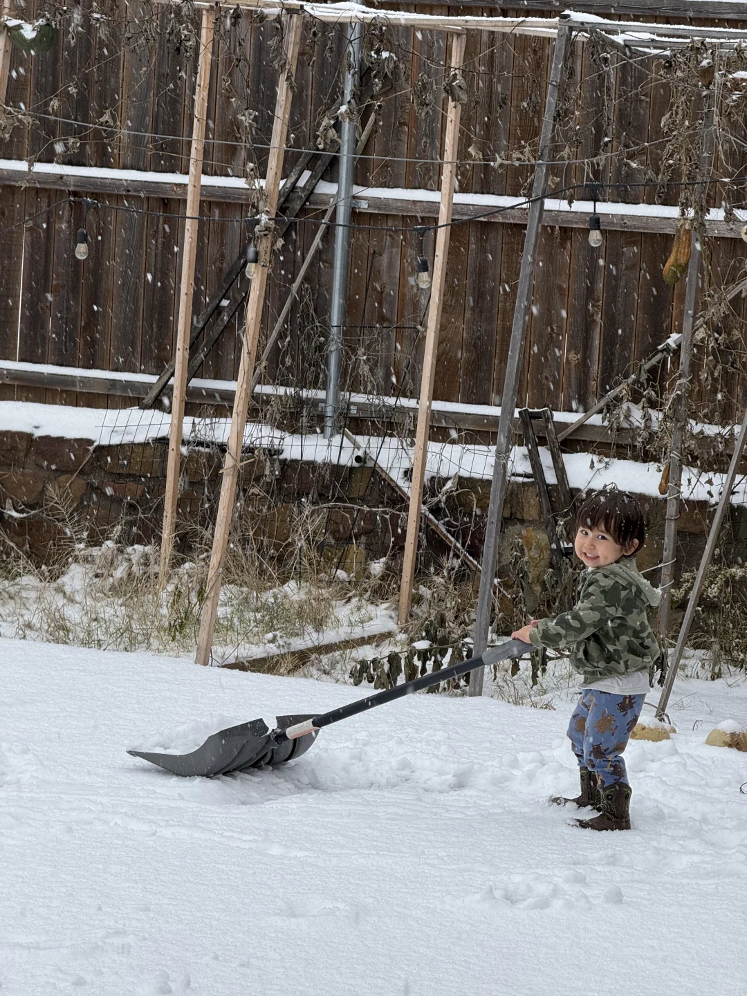 2025达拉斯第一次雪