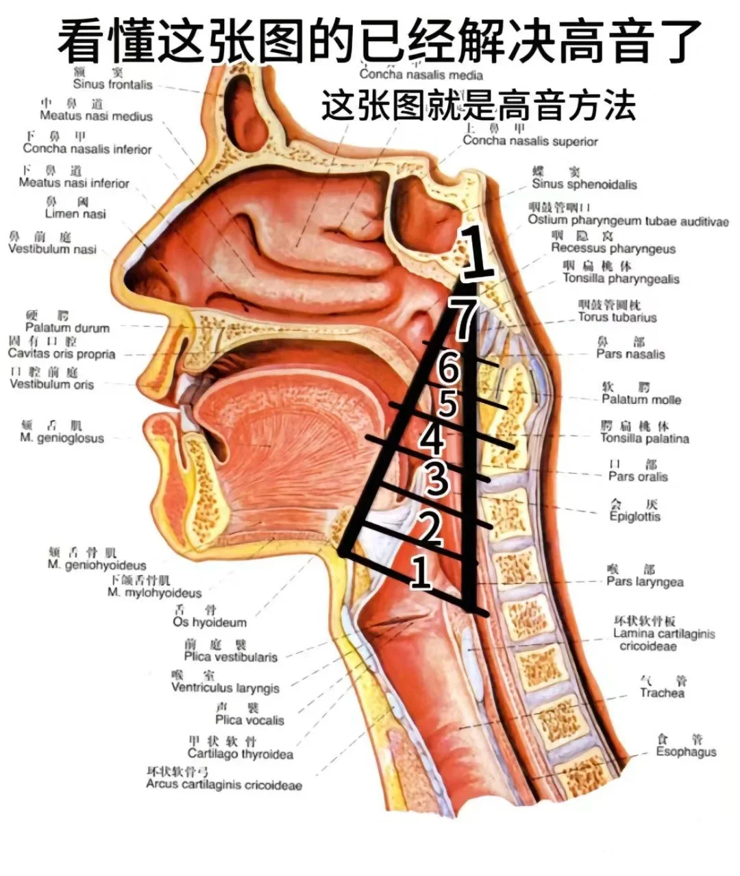 男生有这6个特点，一般不会丑