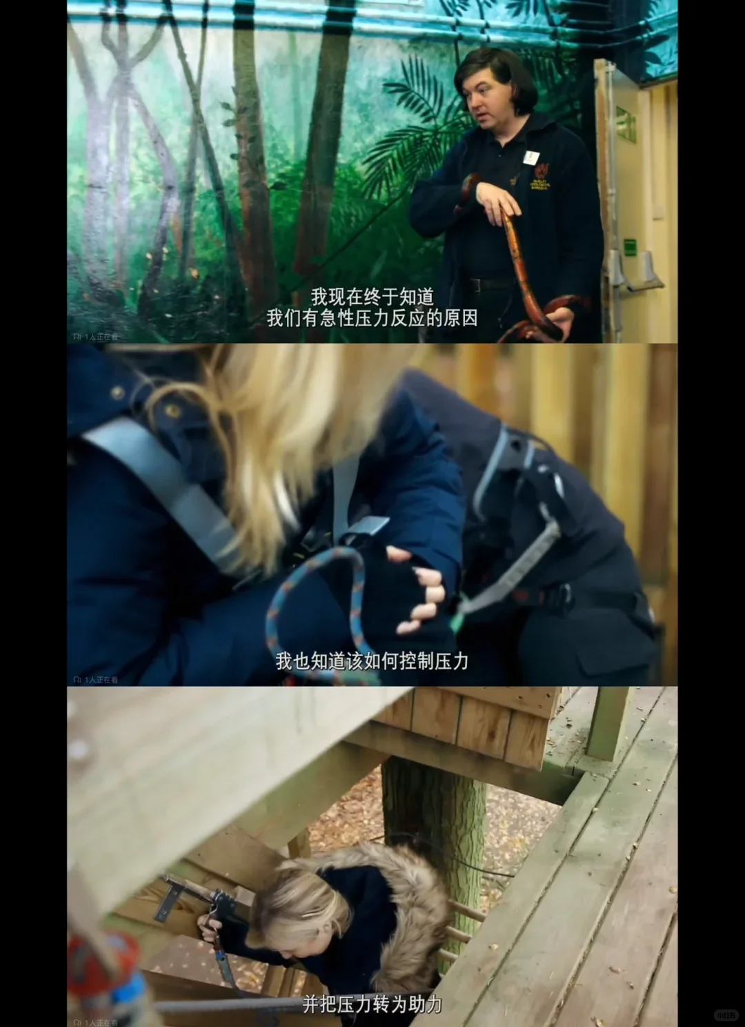 过年🧨我看完这7部纪录片，突然不抑郁了