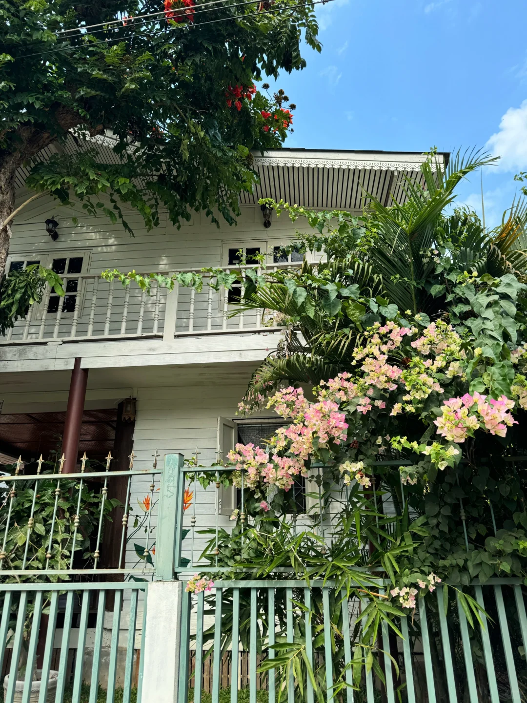 🇹🇭从南邦到清迈