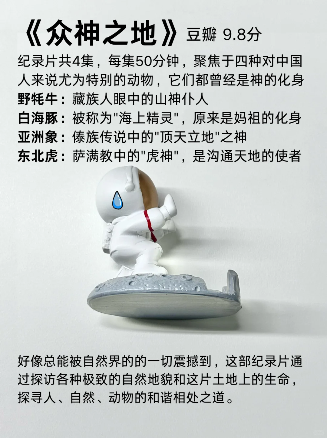 过年🧨我看完这7部纪录片，突然不抑郁了