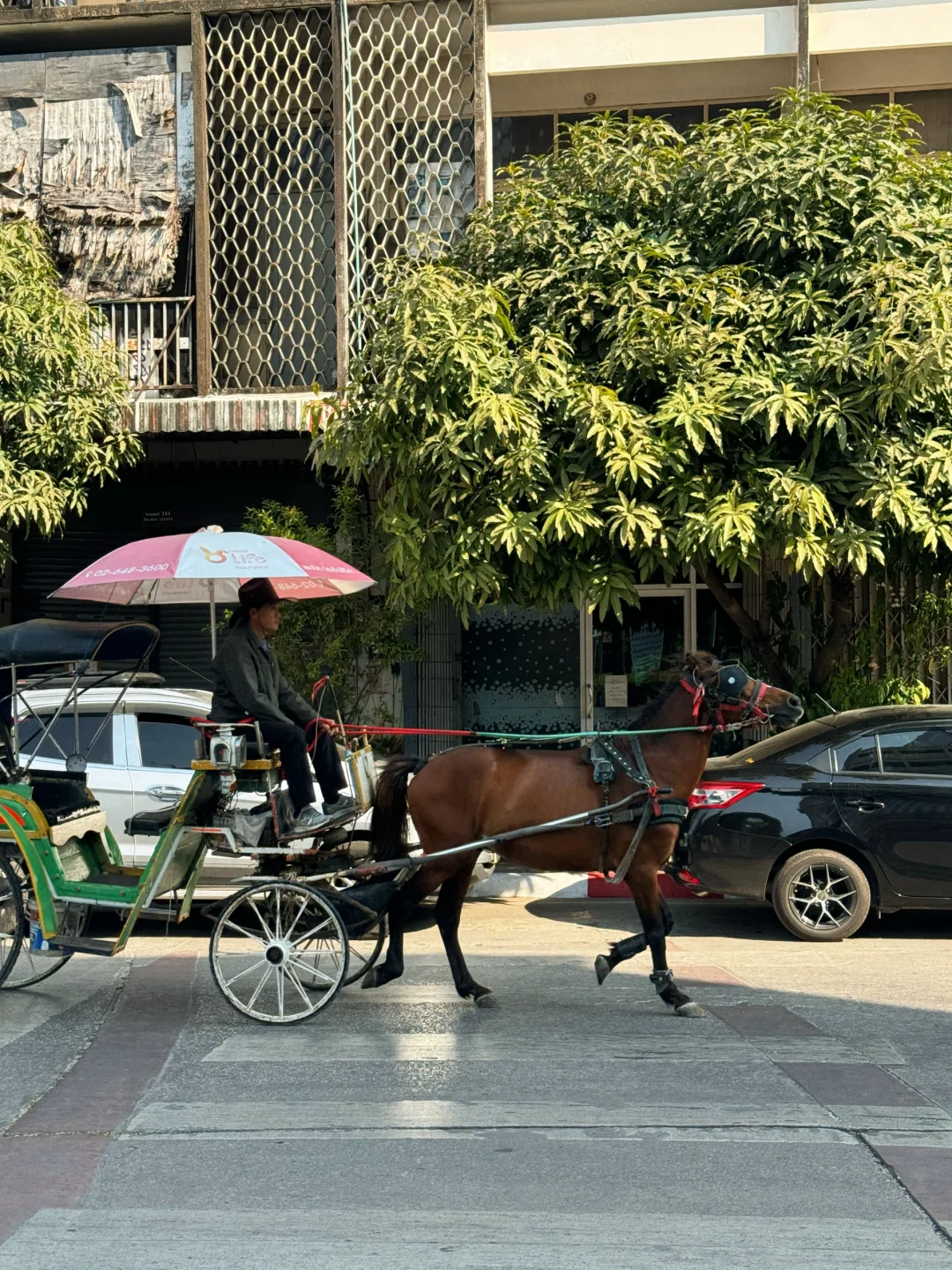 🇹🇭从南邦到清迈
