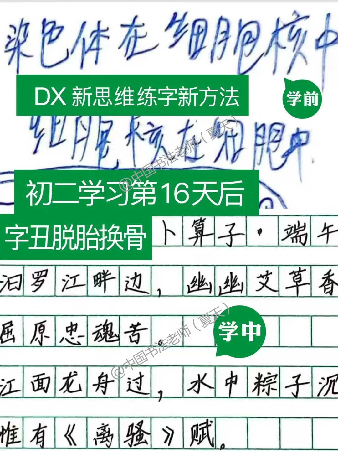 🙏🏻感谢班主任给的练字方法❗👍🏻