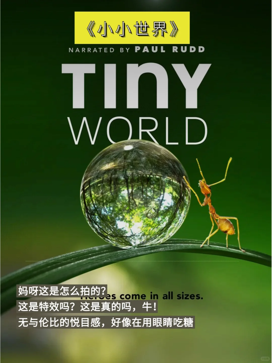 春节宅家追剧10部高分经典纪录片推荐✨