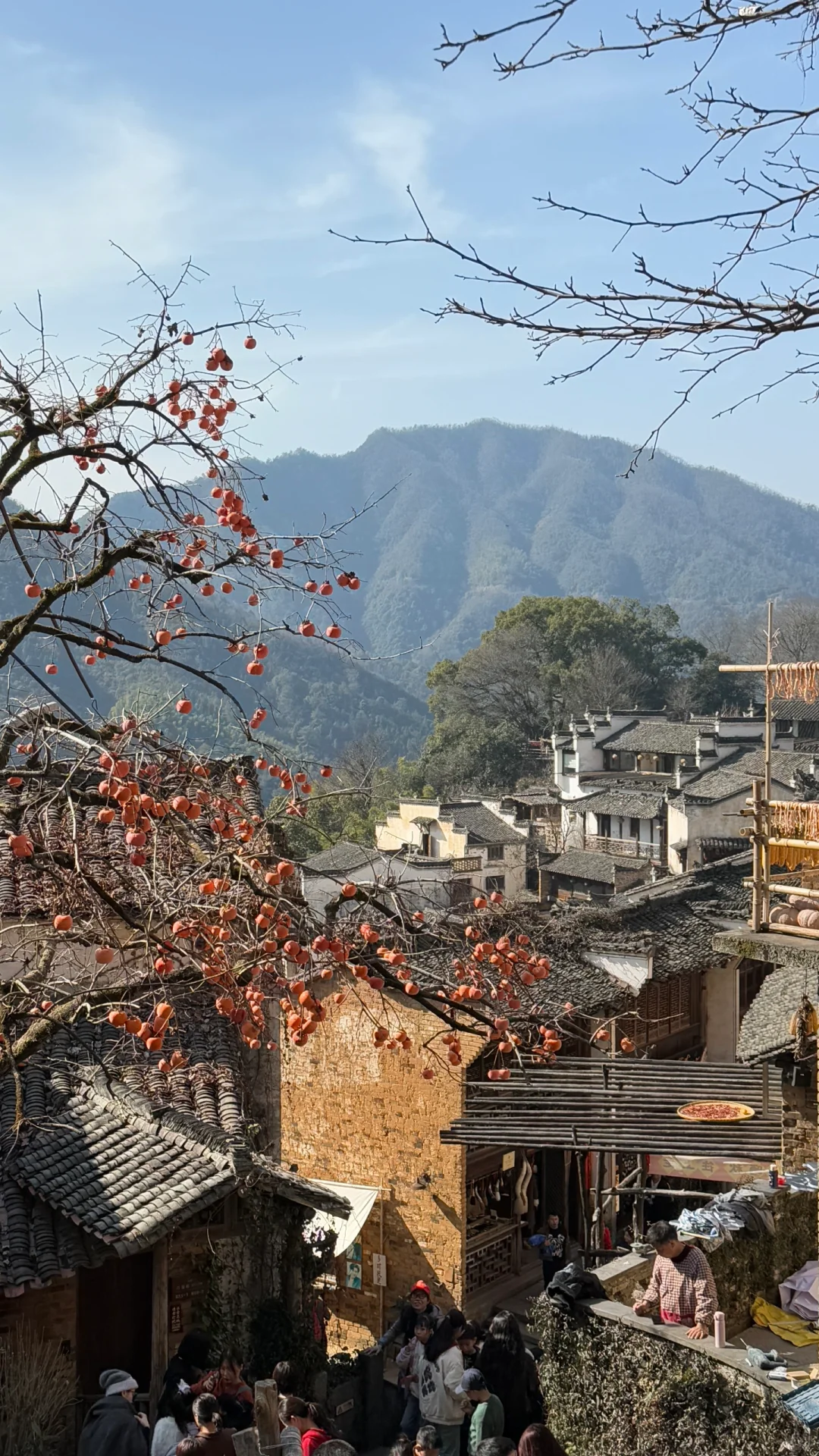 Welcome to Red📕!TikTok Refugees