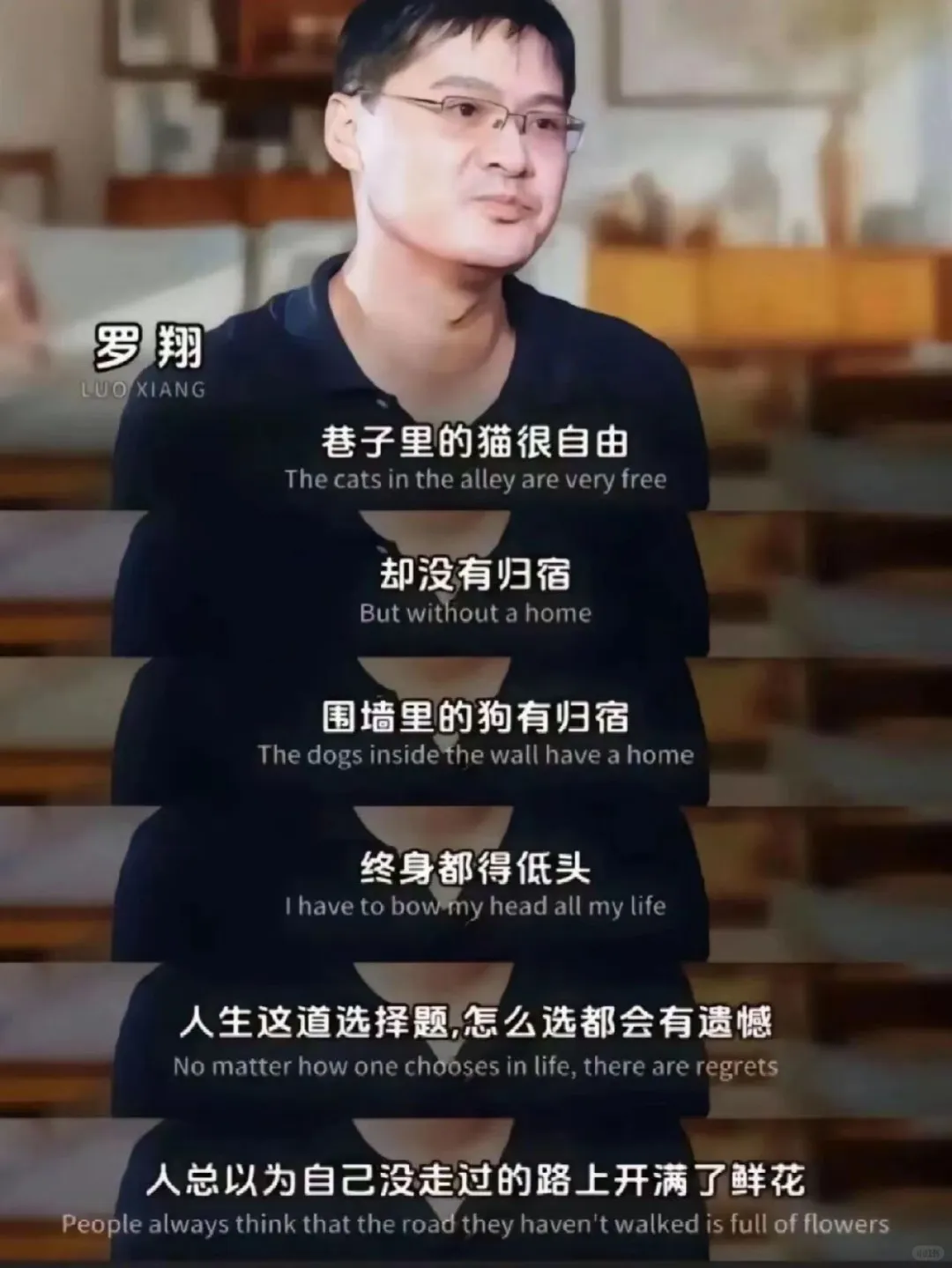 罗翔老师总结的太到位了