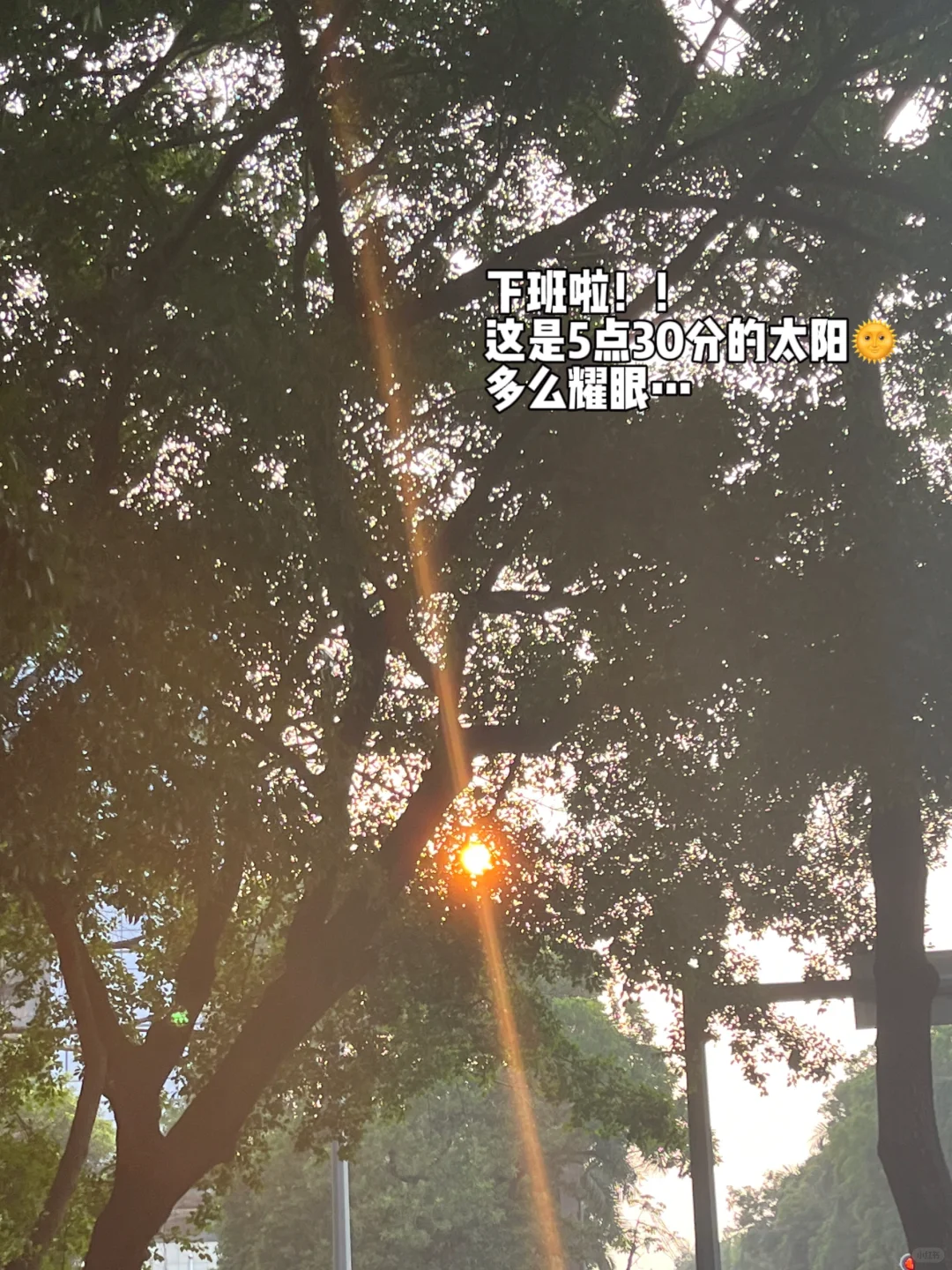 97年，27岁，gap10个月后入职神仙公司