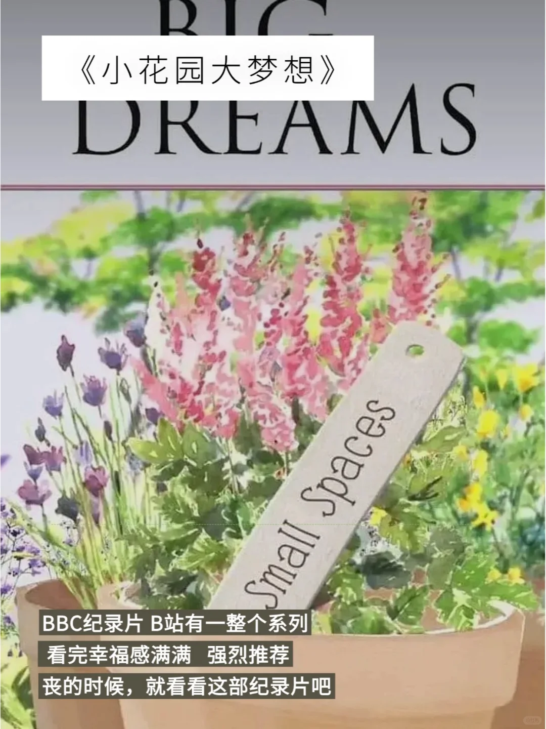 春节宅家追剧10部高分经典纪录片推荐✨