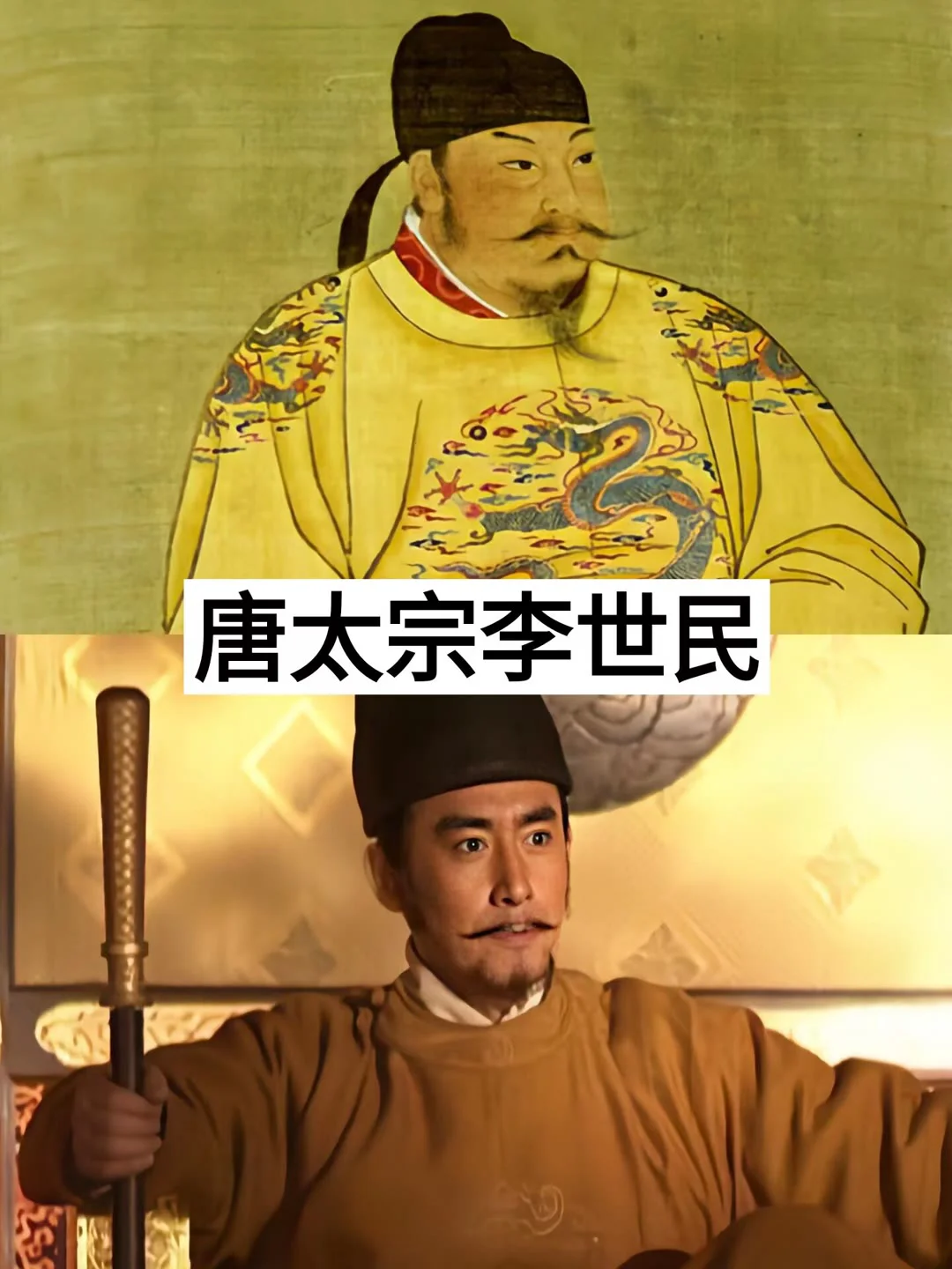 将帝术掌握到极致的皇帝