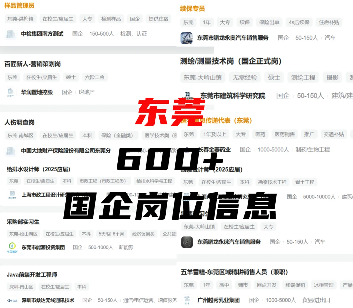 东莞国企发布的捞人信息