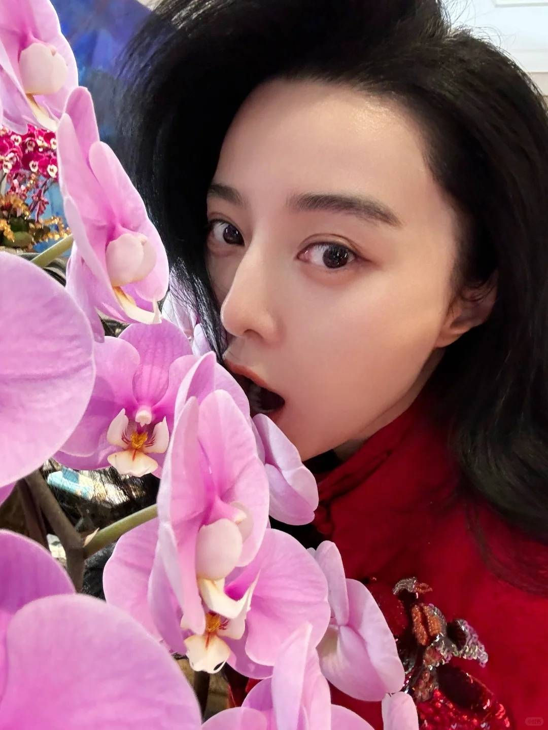 报道报道！拜年了！❤️❤️❤️大家都要大桔大利！顺心顺意！吃菜吃菜，别的啥也不能