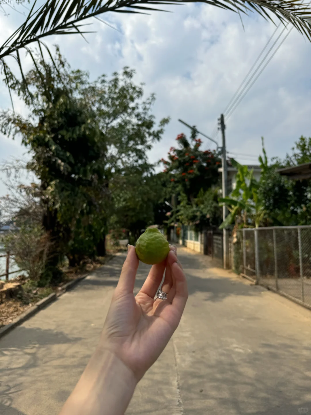 🇹🇭从南邦到清迈