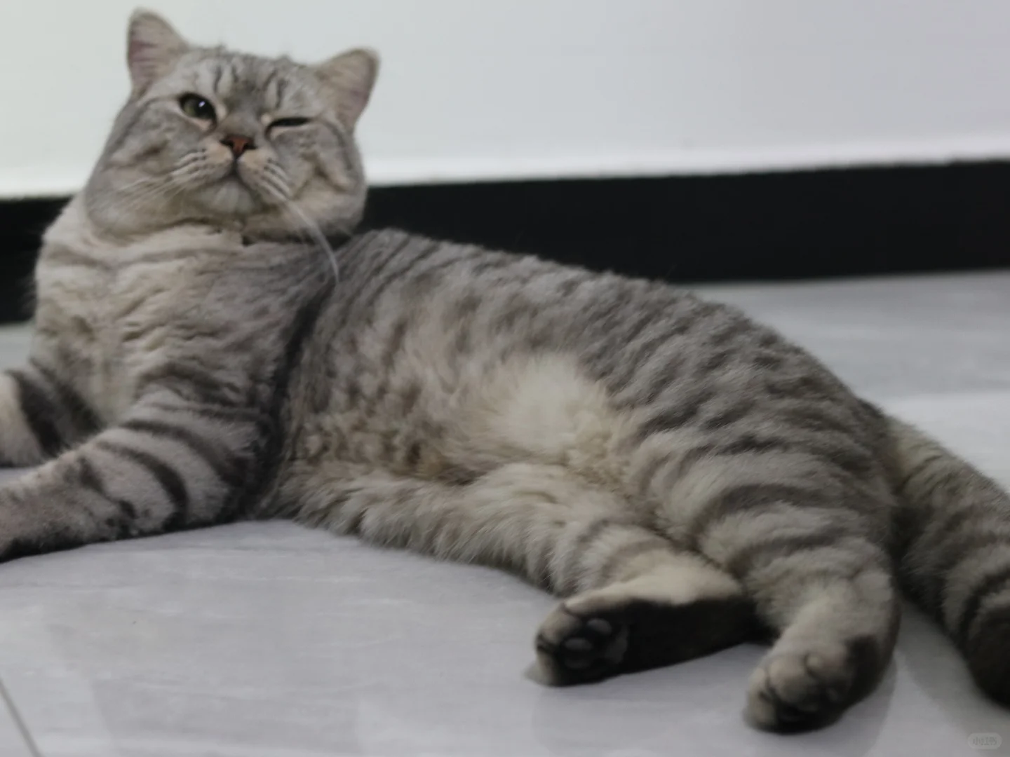 沂南的神仙公司，超多岗位