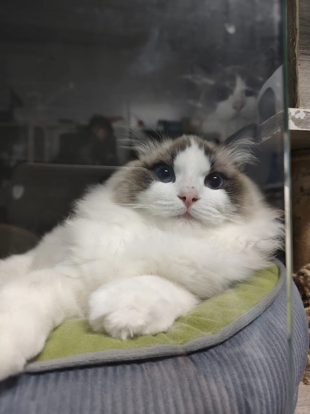 沂南的神仙公司，超多岗位