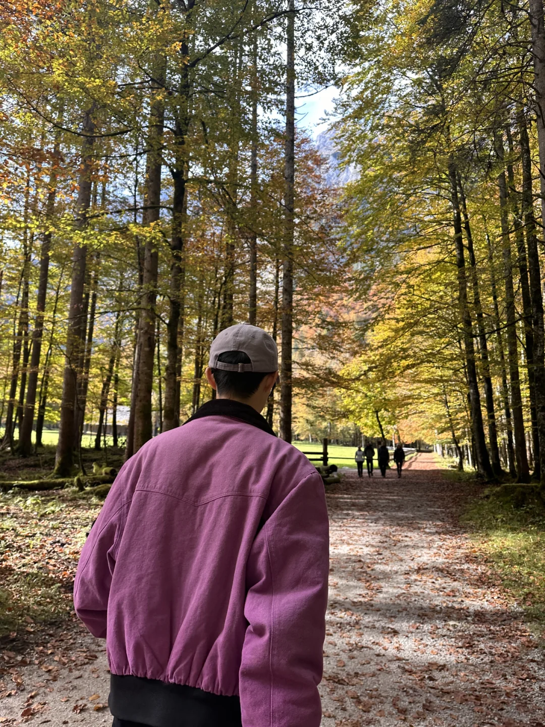 跑了一年医疗器械海外市场,收获与感悟上