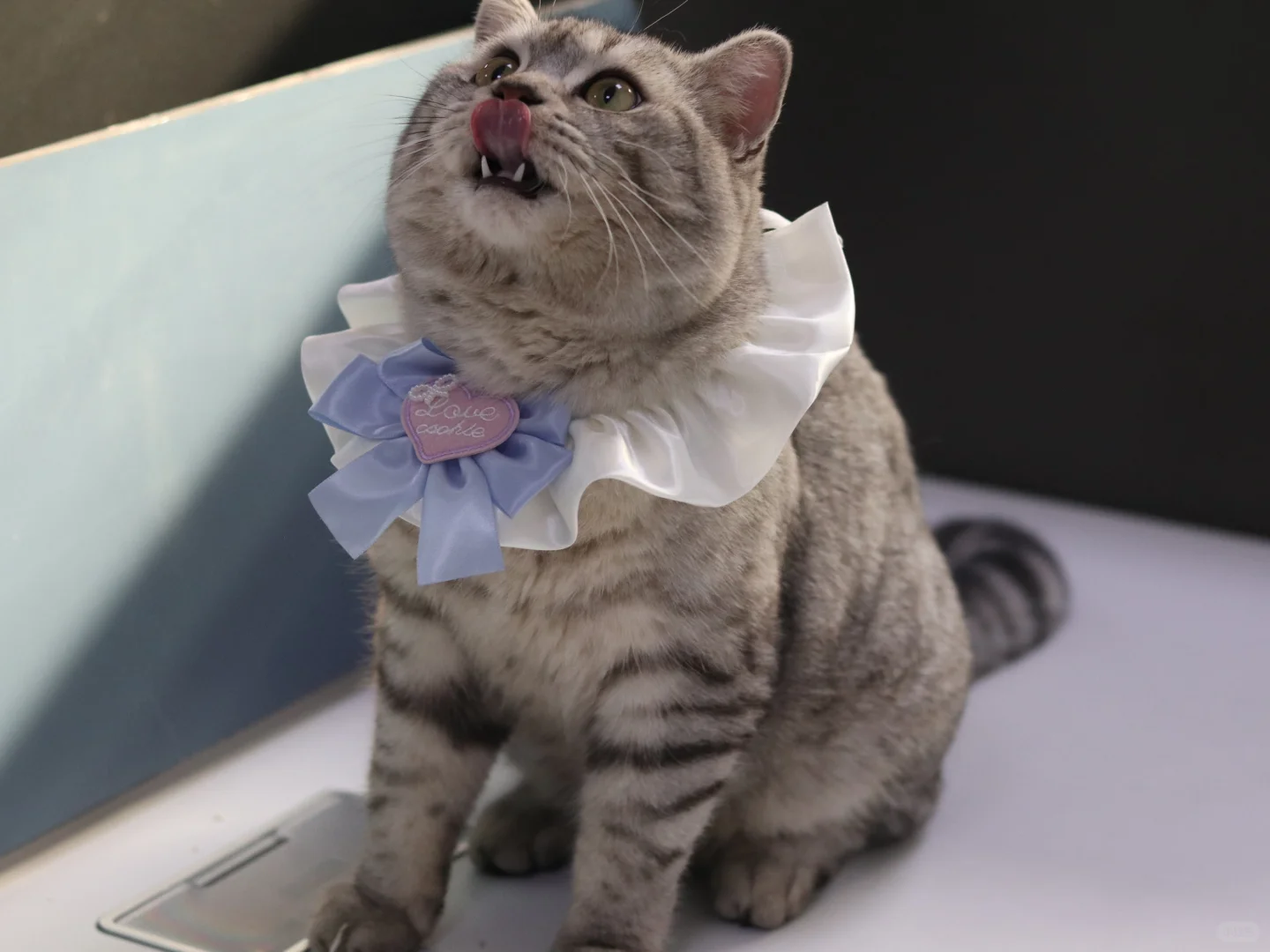 沂南的神仙公司，超多岗位