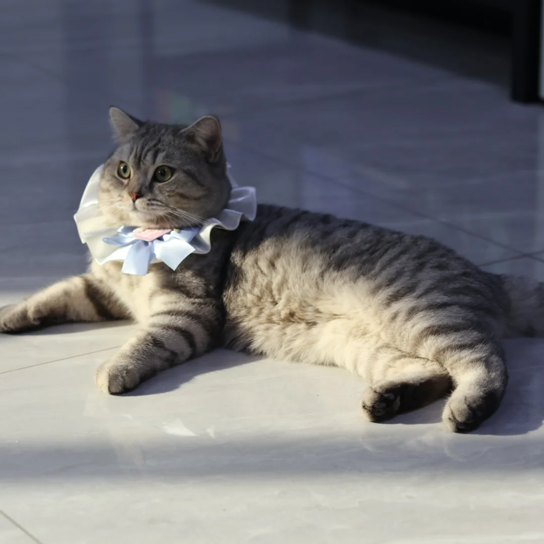 沂南的神仙公司，超多岗位