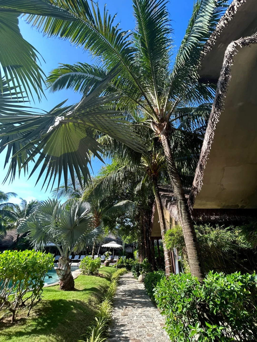 普通年轻人怎么找外派/驻外工作？