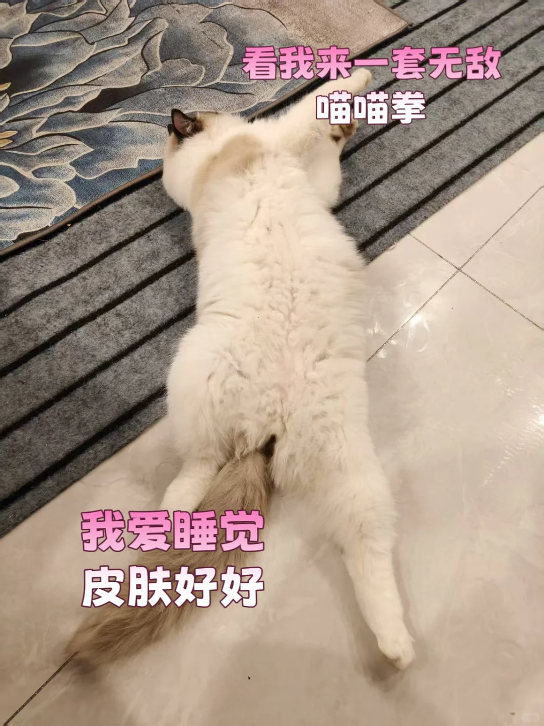 沂南的神仙公司，超多岗位