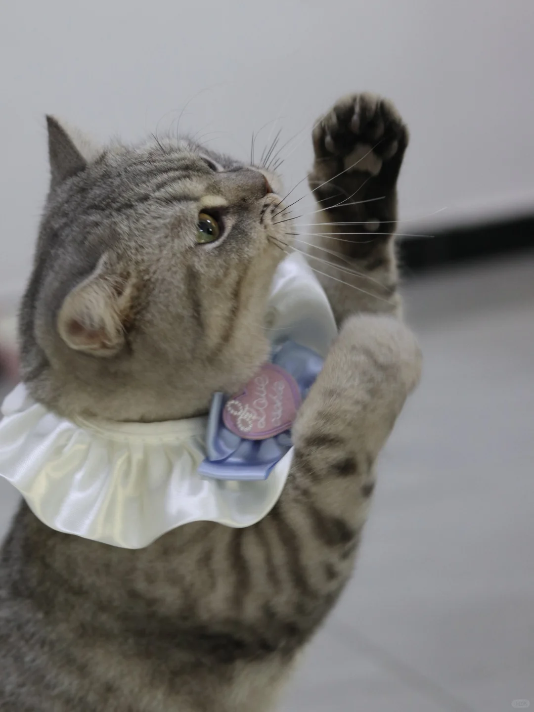 沂南的神仙公司，超多岗位