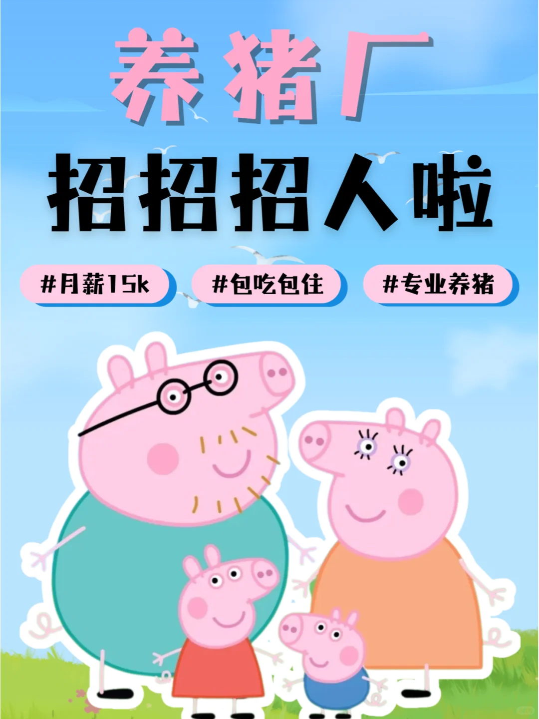 养猪场招人啦❗️月薪15K包吃包住神仙外企~