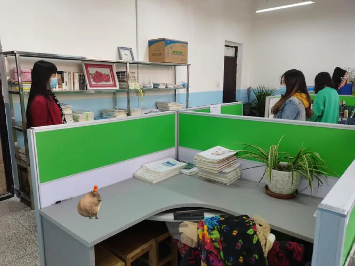 小学缺老师，谁有教资