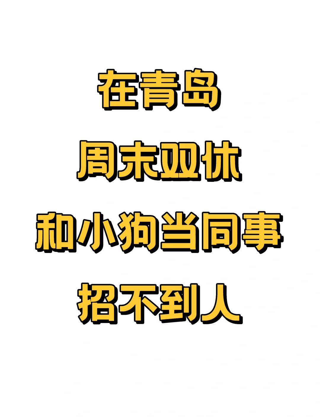 是谁天天带着毛孩子上班呀？是我！