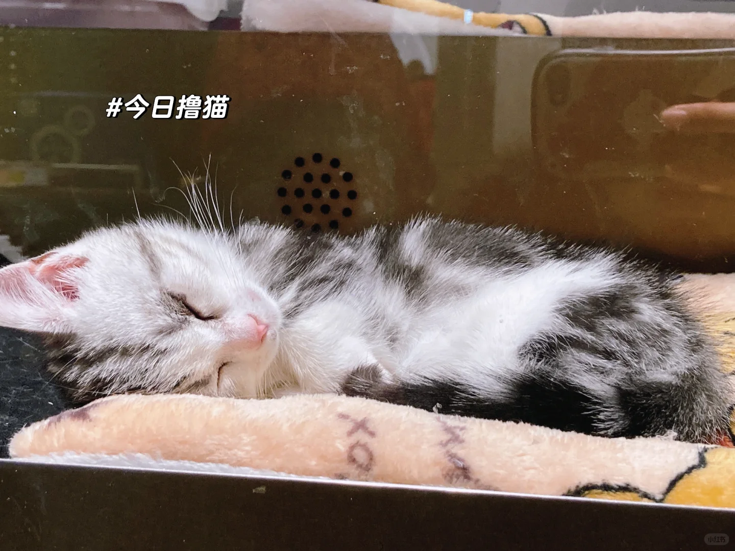 MCN到底怎么选岗位？终于有人说清楚了