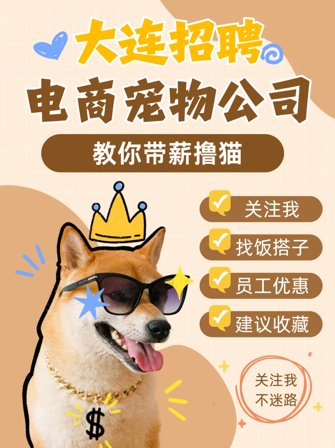 大连电商宠物公司招聘，猫猫？狗狗？全都有