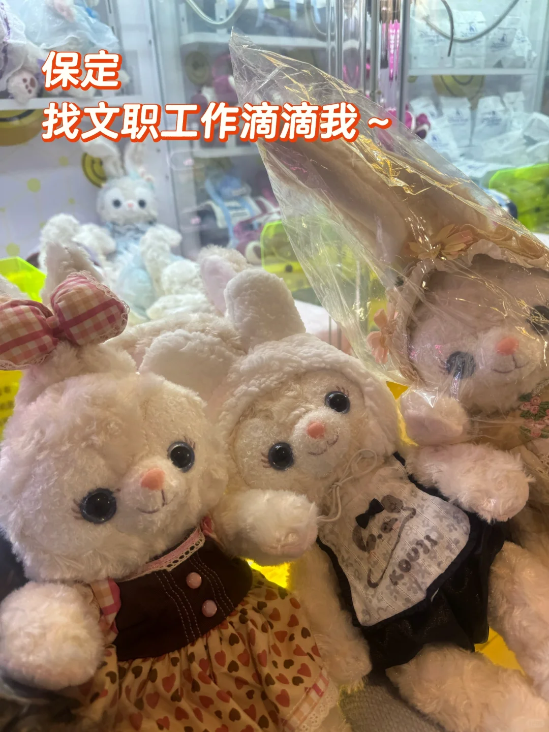 保定文职-专给一线城市输送人才的幕后大佬