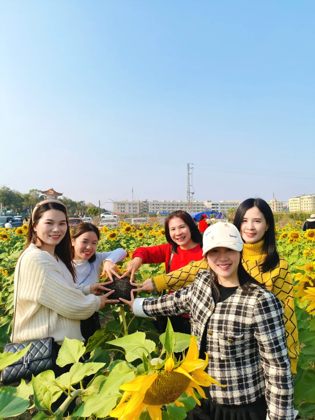 年后出来找工作的看过来哟😃😃