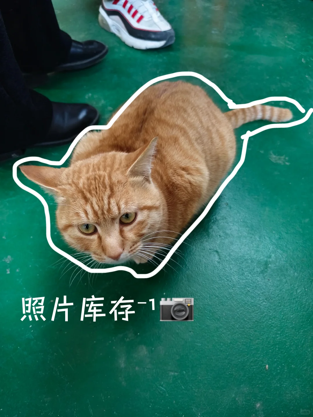 省聘书记员，一天都在忙个啥？
