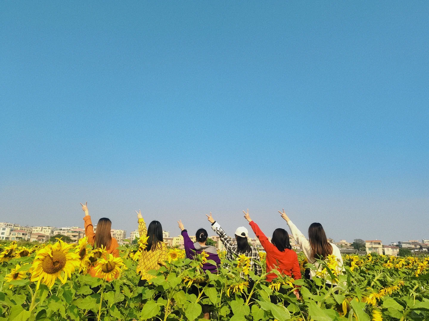 年后出来找工作的看过来哟😃😃