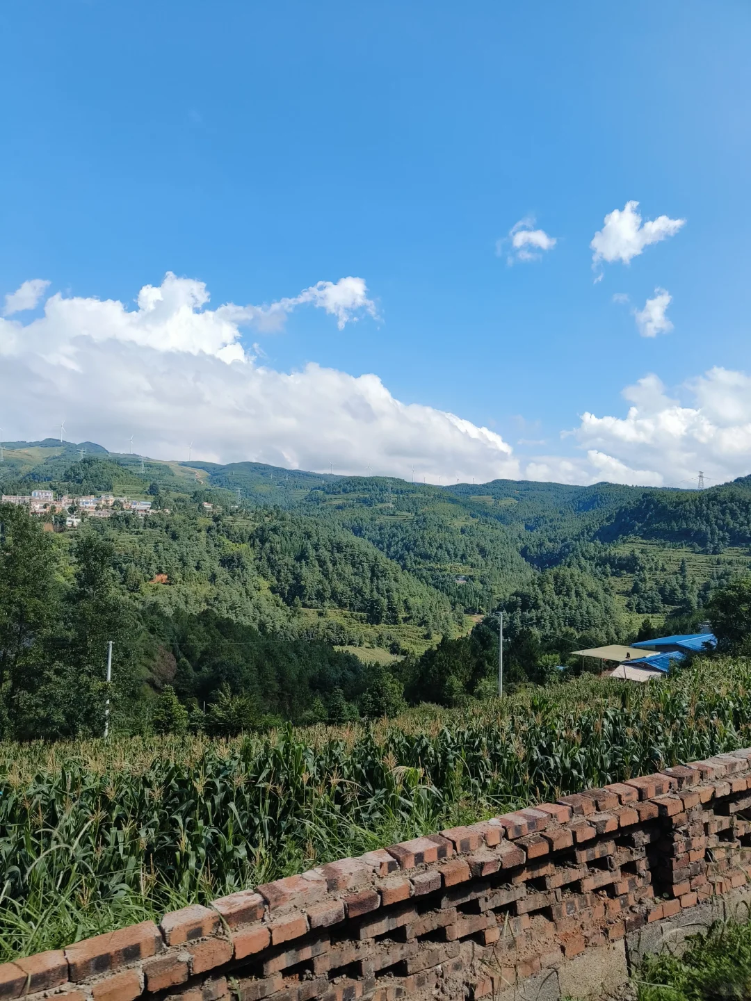 县管校聘，乡镇学校也有待岗风险吗😭