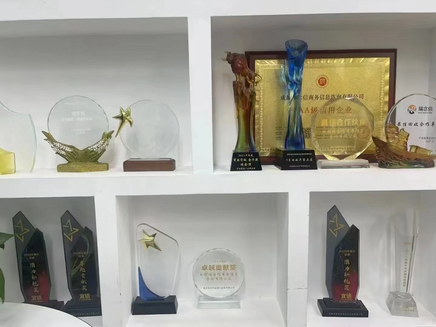 稳定公司新年招人啦～～