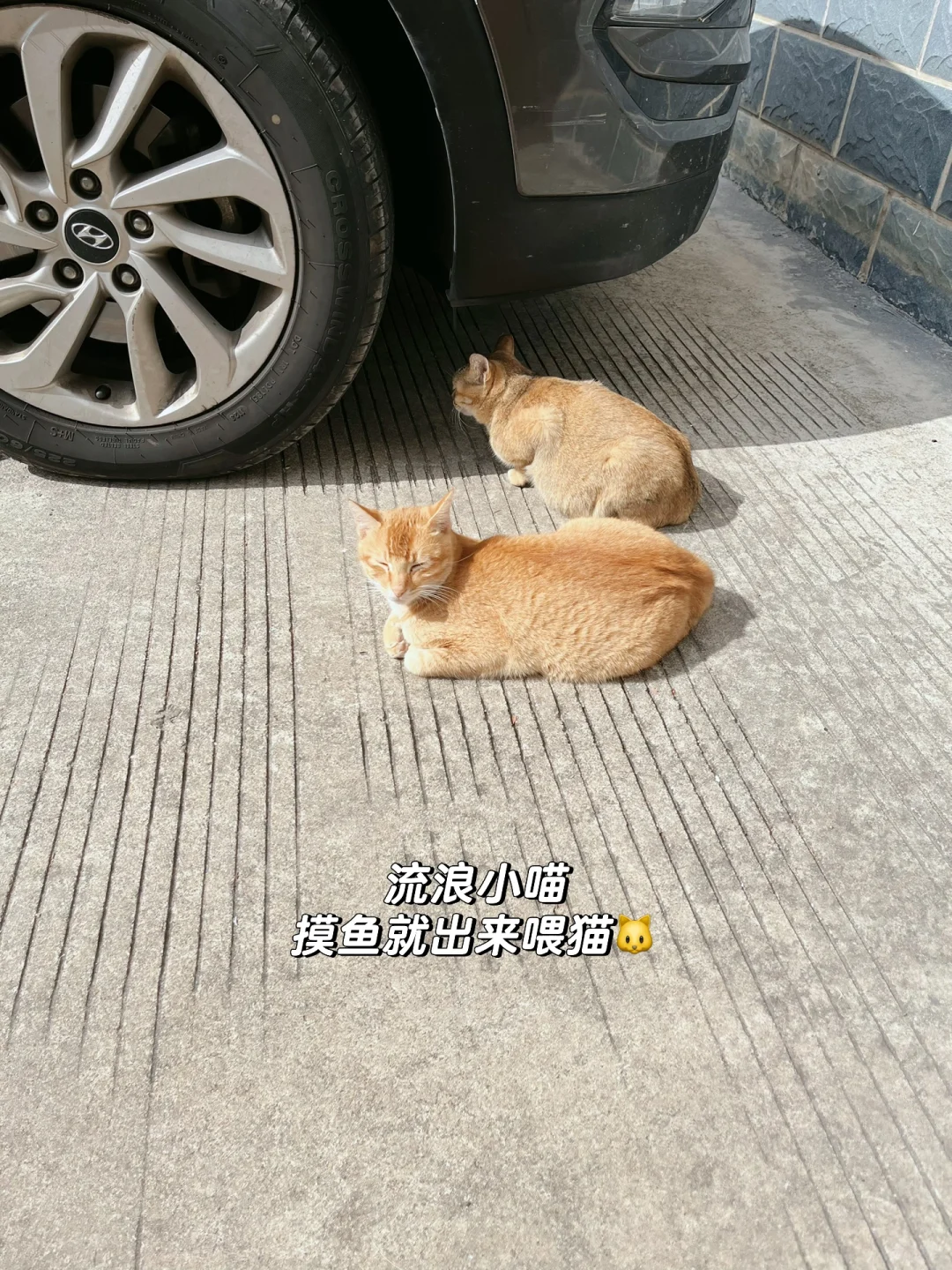 体制内编外｜jcy书记员入职第三个月了，